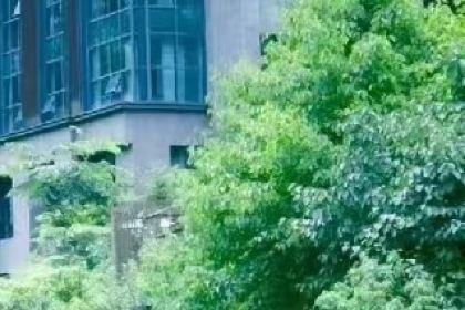 宽山隐庐度假酒店-隐庐餐厅