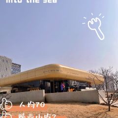 北27號·黄河入海 여행 사진