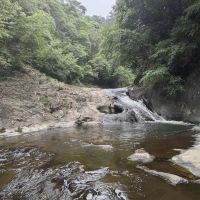 評論圖片 3