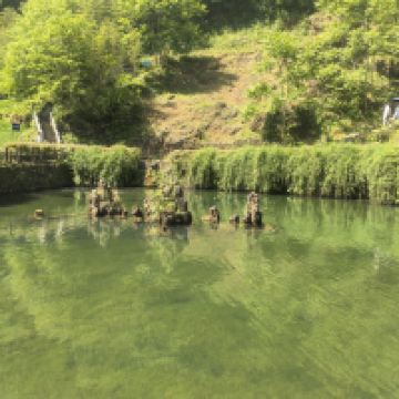 評論圖片 2