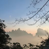 評論圖片 3