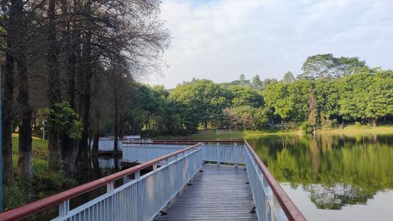 东莞植物园真的是够大，逛一天应该一点问题都没有，而且还在扩建