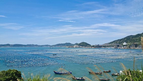 Shengshan Gouqi Scenic Area