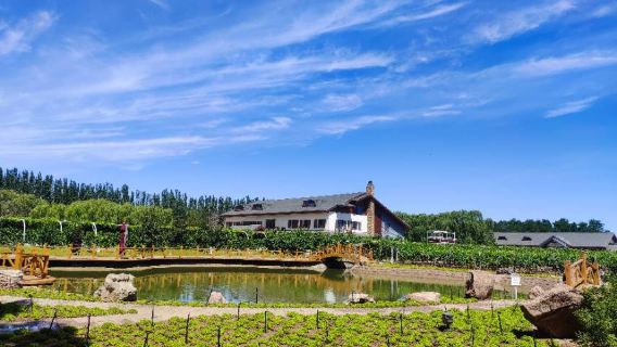 Chateau Jiolis