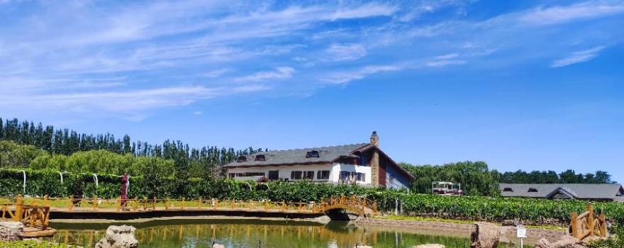 Gioni Vineyard