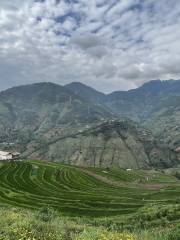 Xinshan Terraces