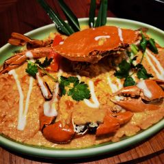 Mango Tree User Photo