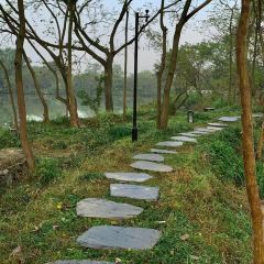 Xi Yin ảnh của người dùng