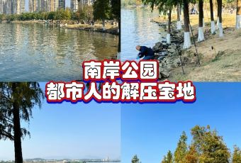 鸽皇餐厅·16年老字号·专业做鸽(东城店) User Photo