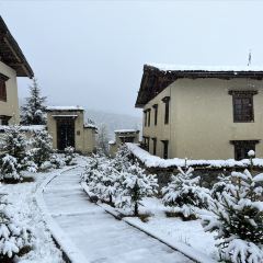 香格里拉仁安悦榕庄 User Photo