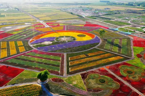 ShanDong HuangHe GuoJi ShengTaiCheng