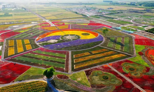 ShanDong HuangHe GuoJi ShengTaiCheng