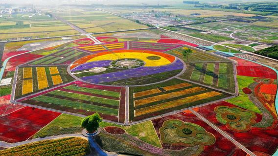 ShanDong HuangHe GuoJi ShengTaiCheng