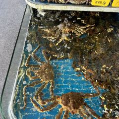 LU JIANG YI HAO User Photo