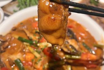 PERCENT CUISINE user photo