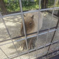評論圖片 5