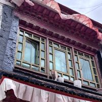 評論圖片 8