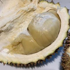 Si Bolang Durian User Photo