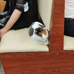 香江姳苑粥饭(人民广场店) User Photo