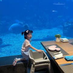 Aqua - Aquarium Restaurant User Photo