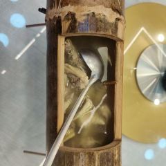 Dashifujinjiangpijiu Fish (yangguang) User Photo