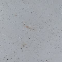 普者黑沽月·精品湖景客栈·餐厅 User Photo