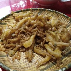 草棚棚張用戶圖片