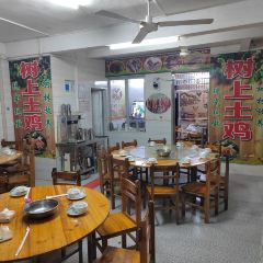 树上土鸡 User Photo