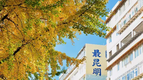 Wenlin Street attraction in Kunming
