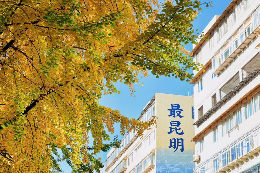 文林街