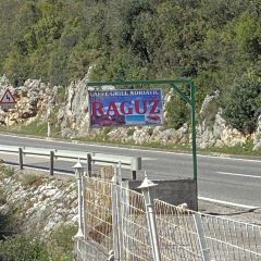 Caffe Grill Adriatic User Photo