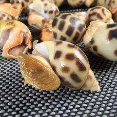 万家渔火(侨港/银滩店) User Photo