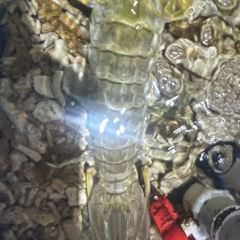 DaYang HaiXianCheng User Photo