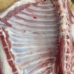 Ningxiayanchixianhengruntan Lamb (yinchuanfengongsi) User Photo