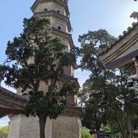 評論圖片 2