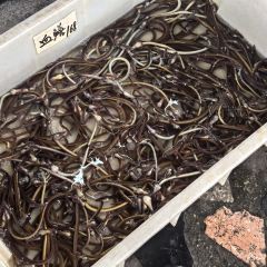 YUAN ZAI BING User Photo