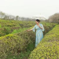評論圖片 5