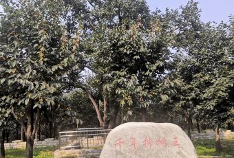 神星柿子沟 User Photo