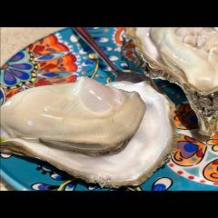 Oyster fort·Origin of Species (Weihai Flagship Store) User Photo