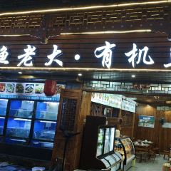 渔老大·有机鱼馆·老字号(古城店) User Photo