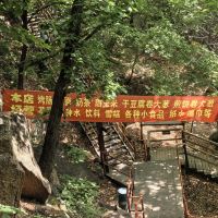 評論圖片 8