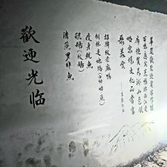 FL 여행 사진