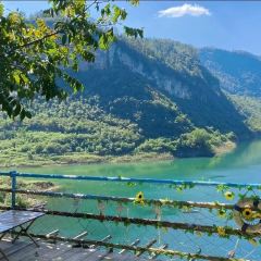 塘三菜·纯野露营咖 User Photo