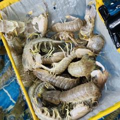 LU JIANG YI HAO User Photo