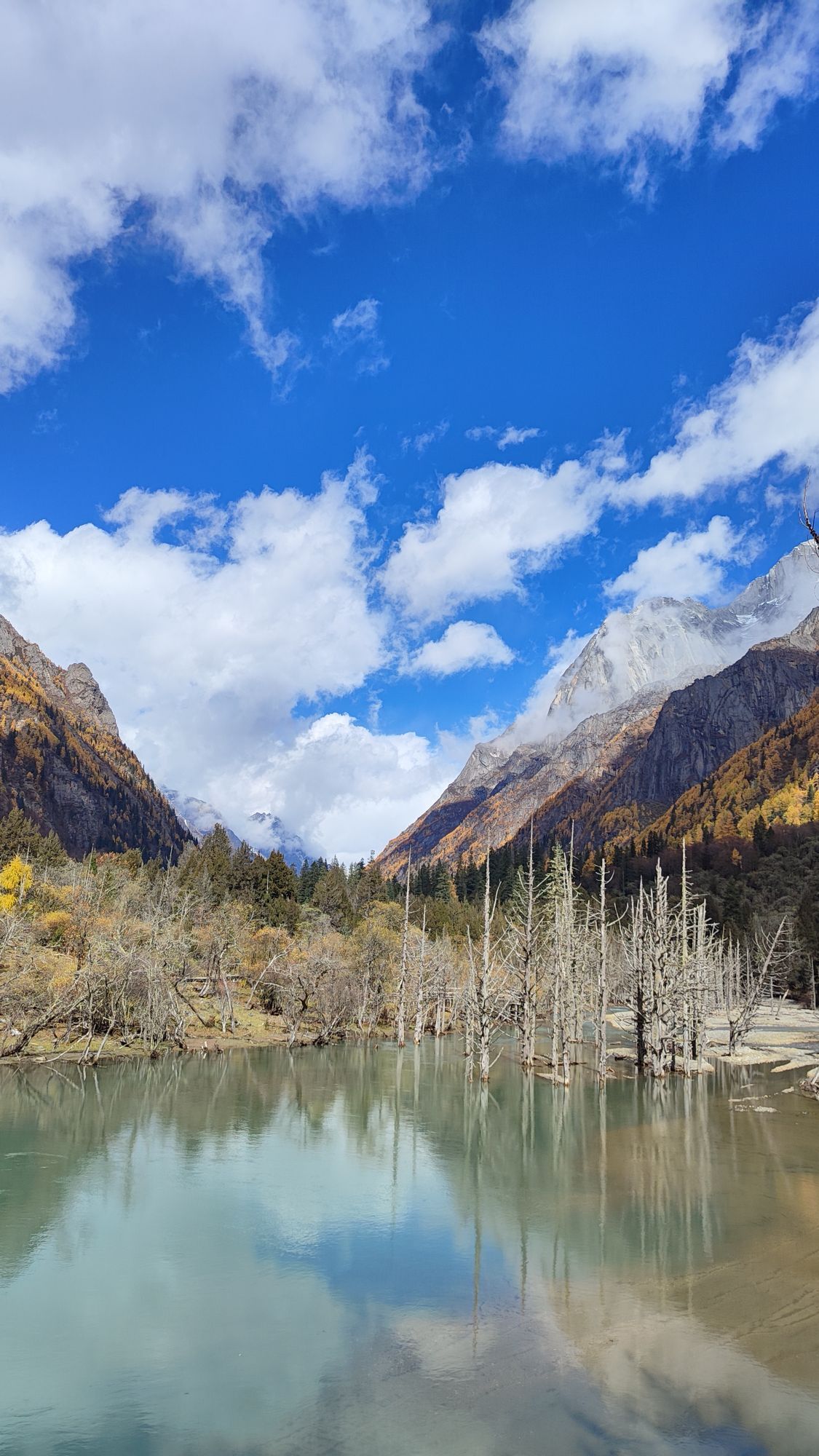 Yaomei Peak Tickets [2025] Promos, Prices, Reviews Opening