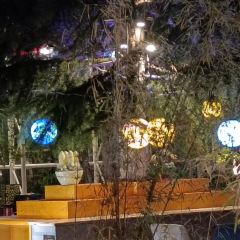 九寨沟天源豪生度假酒店·中餐厅 여행 사진