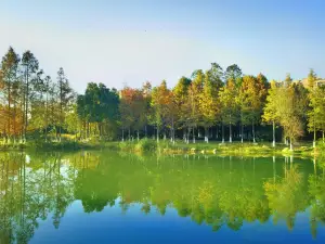 Yanghu Wetland Park
