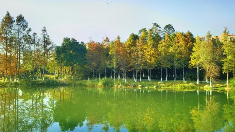 Yanghu Wetland Park attraction in Changsha