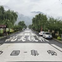 評論圖片 4