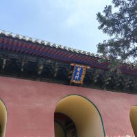 評論圖片 3